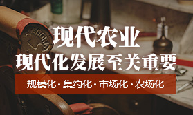 現(xiàn)代農業(yè)