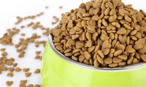 2020狗飼料行業(yè)市場前景及現(xiàn)狀分析