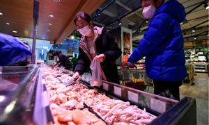 日本市場雞肉批發(fā)價格已達50元/公斤 短期內(nèi)雞肉價格會下調(diào)嗎？