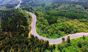 激勵措施加速農(nóng)村公路建設 2020湖北農(nóng)村公路總里程增至26.1萬公里