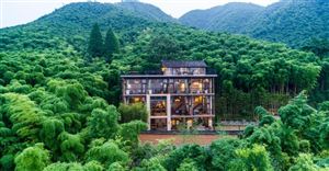 2020年木鳥民宿房源數量增至110萬套 就地過年倡議下民宿預定量暴增