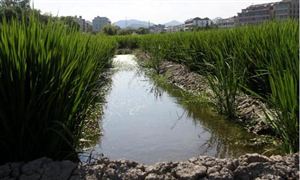 國家政策扶持農(nóng)村飲水安全 農(nóng)村污水處理發(fā)展前景向好