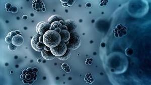 全球首次發(fā)現(xiàn)人感染H5N8型禽流感 2021流感疫苗行業(yè)市場發(fā)展現(xiàn)狀與前景分析