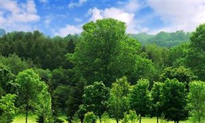 《天津生態(tài)環(huán)境保護(hù)責(zé)任清單》出臺(tái) 十三五是生態(tài)環(huán)境質(zhì)量改善成效最大5年