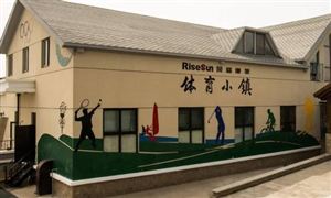 體育小鎮(zhèn)數(shù)量呈逐年上升趨勢(shì) 智慧體育小鎮(zhèn)行業(yè)發(fā)展策略研究