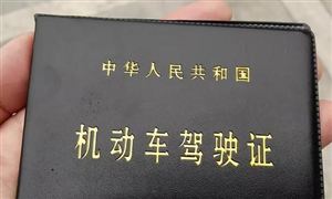 92歲大爺學(xué)車(chē)不到兩個(gè)月拿到駕照 汽車(chē)駕駛培訓(xùn)行業(yè)分析