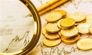 中國(guó)金融穩(wěn)定報(bào)告(2021) 中國(guó)國(guó)內(nèi)生產(chǎn)總值(GDP)同比增長(zhǎng)2.3%