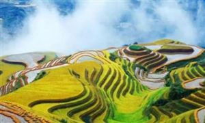 進一步激發(fā)旅游市場活力 廣西旅游行業(yè)發(fā)展現狀分析