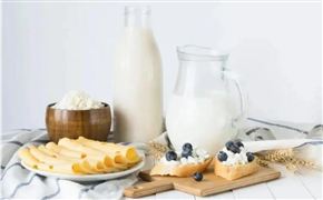 2021我國乳制品產(chǎn)量行業(yè)數(shù)據(jù) 中國乳制品行業(yè)現(xiàn)狀及發(fā)展趨勢