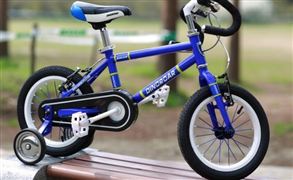 2021兒童單車行業(yè)發(fā)展現(xiàn)狀及前景分析