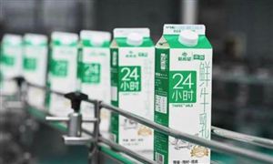 鮮奶市場前景怎么樣? 鮮奶行業(yè)發(fā)展趨勢