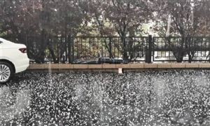 煙臺突降冰雹是怎么回事?智慧氣象行業(yè)市場發(fā)展現(xiàn)狀分析