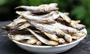 高中畢業(yè)的海南小伙賣魚干年賺500萬 魚干市場現狀分析