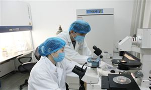 質(zhì)量檢測市場規(guī)模如何? 質(zhì)量檢驗檢測行業(yè)發(fā)展全景分析