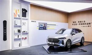 李云迪涉黃被拘 長(zhǎng)城汽車(chē)會(huì)受到怎樣的影響? 汽車(chē)行業(yè)發(fā)展現(xiàn)狀分析