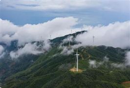 碳中和碳達峰最新政策分析 新能源光伏風(fēng)電發(fā)展前景和趨勢