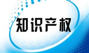 2021中國知識(shí)產(chǎn)權(quán)代理行業(yè)趨勢及發(fā)展機(jī)遇分析