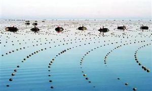 2021海洋信息化行業(yè)發(fā)展現(xiàn)狀及前景分析