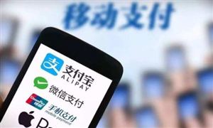 2021在線(xiàn)支付市場(chǎng)份額及在線(xiàn)支付行業(yè)報(bào)告