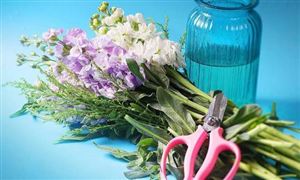 鮮切花行業(yè)未來(lái)發(fā)展趨勢(shì) 鮮切花市場(chǎng)調(diào)查報(bào)告