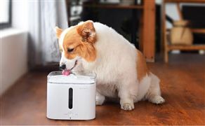 寵物電器行業(yè)市場調(diào)研 寵物電器產(chǎn)業(yè)現(xiàn)狀及未來趨勢預(yù)測
