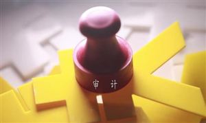 審計(jì)信息化是審計(jì)技術(shù)創(chuàng)新的最重要方面 審計(jì)行業(yè)整體規(guī)模持續(xù)增長(zhǎng)