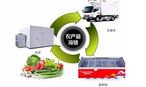 大連對種豬場私埋病死動物立案調(diào)查 農(nóng)產(chǎn)品冷鏈物流行業(yè)深度解析