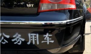 公務(wù)車租賃市場調(diào)研 2022公務(wù)車租賃行業(yè)前景及現(xiàn)狀