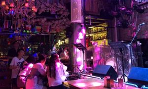 中國酒吧行業(yè)現(xiàn)狀及發(fā)展前景分析