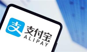 支付寶上線錢包分類功能 中國電子支付行業(yè)發(fā)展前景趨勢分析