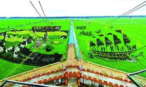 特色農(nóng)業(yè)帶火鄉(xiāng)村游 農(nóng)業(yè)旅游行業(yè)發(fā)展前景如何?