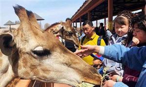 數(shù)字文旅新業(yè)態(tài)成果亮眼 數(shù)字文旅的發(fā)展現(xiàn)狀