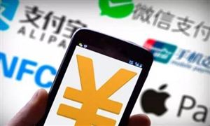 第三方支付機構(gòu)收付業(yè)務突飛猛進 第三方支付行業(yè)步入一個穩(wěn)定增長期