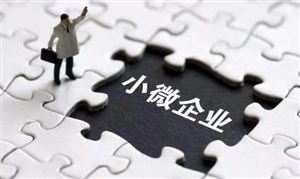 國家稅務總局:做好制造業(yè)中小微企業(yè)緩繳稅費工作 小微金融行業(yè)分析