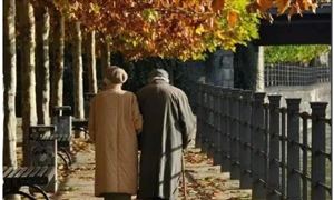 2020年凈增人口創(chuàng)59年新低 老齡化帶來的機(jī)遇分析