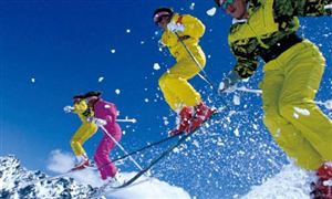 2022滑雪行業(yè)深度分析及滑雪市場研究報告