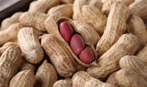 國內花生種植現狀怎么樣 花生消費趨勢分析