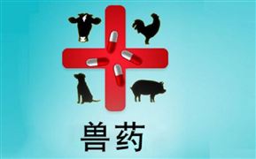 2022中國(guó)獸藥行業(yè)未來發(fā)展方向 全球獸藥行業(yè)公司前十收入情況