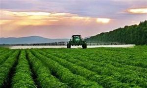 2022年農(nóng)業(yè)經(jīng)濟(jì)行業(yè)發(fā)展前景及趨勢分析