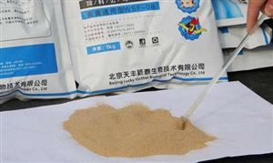 微生態(tài)制劑市場調(diào)研 微生態(tài)制劑行業(yè)前景分析