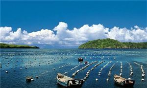 農(nóng)業(yè)農(nóng)村部：到2025年漁業(yè)產(chǎn)值達到15000億元?到2035年基本實現(xiàn)漁業(yè)現(xiàn)代化