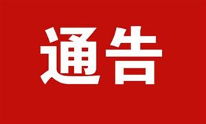碳酸鋰價格持續(xù)上升 我國碳酸鋰行業(yè)市場分析