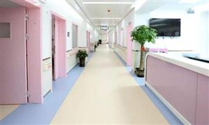 婦幼醫(yī)院市場發(fā)展現(xiàn)狀 婦幼醫(yī)院市場需求分析