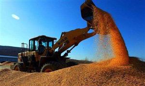 “十四五”全國種植業(yè)發(fā)展規(guī)劃 2022全球糧食供應現(xiàn)狀及市場前景分析