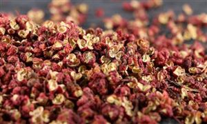 武都花椒牽手川渝火鍋產(chǎn)業(yè) 花椒行業(yè)市場分析