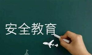 公共安全市場(chǎng)調(diào)研 2022公共安全行業(yè)前景及現(xiàn)狀分析報(bào)告