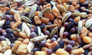 生物育種最被看好 2022生物育種行業(yè)前景研究報告