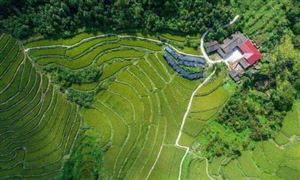 2022年中央一號文件發(fā)布 數字鄉(xiāng)村建設迎機遇