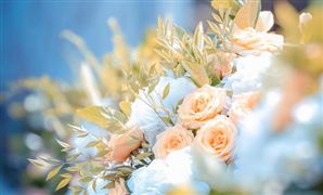 鮮花市場(chǎng)價(jià)格如何？鮮花市場(chǎng)消費(fèi)需求分析