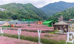 農(nóng)業(yè)旅游發(fā)展分析 2022-2027農(nóng)業(yè)觀光園發(fā)展前景規(guī)劃分析